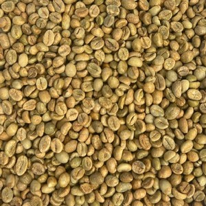 Grains de café Robusta durables entièrement lavés, tailles 13, 14, 16, 18, 20, provenant directement du Vietnam - Product Image 2