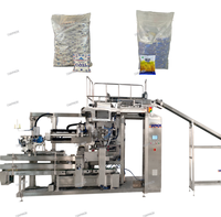 Machine d'emballage secondaire automatique pour sacs préformés de 1 kg à 50 kg, pour aliments, boissons, produits chimiques, avec écran tactile PLC Servo