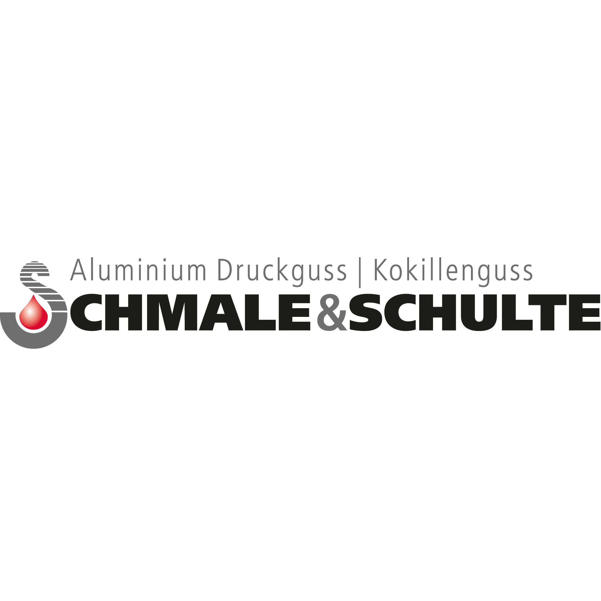 Schmale & Schulte GmbH logo