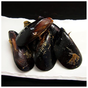 Venta Especial de Mariscos: Carne de Mejillón Congelada y Cocida, con o sin Concha - Product Image 2