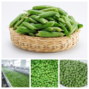 ถั่วลันเตาแห้ง ขนาด 7-9 มม. สำหรับทำซุปและของว่าง 10 กิโลกรัม ผลิตภัณฑ์เกษตรแห้งจากแสงแดดตามธรรมชาติ เพื่ออาหารที่ยั่งยืน - Product Image 5