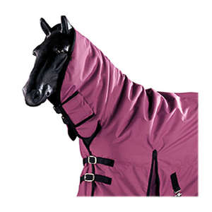 Couverture pour cheval en coton respirant et imperméable de haute qualité avec doublure en polaire chaude pour la protection du cheval et fermetures à boucles réglables - Product Image 5