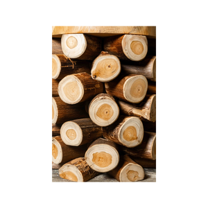 Taburete Único de Rama de Teca Rústica ARTERRA, Hecho a Mano con Artesanía Sólida, Belleza Orgánica para Hogar, Hotel, Apartamento, Villa, Almacén - Product Image 2