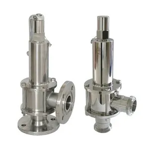 Custom Stainless Steel Medium Pressure Safety Valve <b>Casting</b> <b>Services</b> Delivering Precision Engineered High Temperature Resistant - Product Image 1