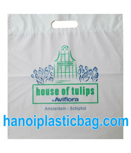 Bolsas de Plástico Resistentes con Asas Troqueladas Ecológicas, Bolsas de Compras Personalizadas de Alta Calidad, Proveedor Mayorista de Vietnam - Product Image 4