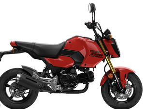 MEJOR OFERTA 2026 para MINI MOTO NUEVA DE 1000-1500cc, Moto Deportiva sin Escobillas, Roja y Negra, con Sistema de Frenos de Doble Canal - Product Image 6