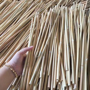 Piquets en bambou naturel en gros pour le soutien des plantes en pépinière et dans les jardins et fermes - Product Image 3