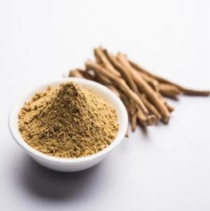 Extracto de Raíz de Shatavari al por Mayor de Fabricante OEM, Polvo Puro de Shatavari 10:1, Mantiene una Función Hormonal Saludable en el Cuerpo - Product Image 4