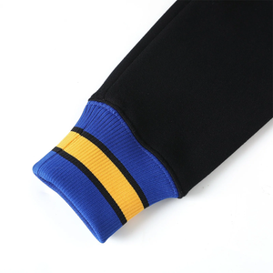 Sweat à capuche d'hiver noir SGRho avec broderie chenille lettres grecques, vêtement de sororité, pull en molleton de coton premium, style universitaire - Product Image 5