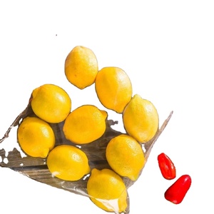 Sacs en plastique à fermeture éclair en plastique de taille mini personnalisés étanches proviennent du Vietnam OEM besoins personnalisés au meilleur prix - Product Image 4