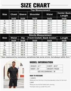 OEM Wholesale Custom Logo Breathable Solid Mens Zipper Style <b>Collar</b> <b>T</b>-<b>Shirt</b> Short Pant Comfortable Summer Casual Gym Wear - Product Image 6