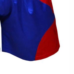 Pantalones Cortos de Muay Thai con Logotipo Personalizado al por Mayor, Ropa de Combate, Pantalones Cortos de Entrenamiento de Boxeo para Hombres, Mujeres y Niños, Pantalones Cortos de Entrenamiento de Kickboxing y MMA - Product Image 6