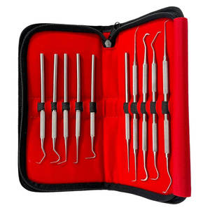 Stainless Dentist Cleaning Tool Set 7pcs Dental Hygiene Kit Scaler Pick Mirror with Zipper <b>Case</b> CE Approved By Grip Surgical - Product Image 1