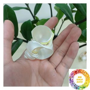 Anillos de Servilleta Hechos a Mano con Conchas y Acentos de Madreperla para Decoración de Bodas Costeras, Venta al por Mayor para Comercios y Hostelería - Product Image 1