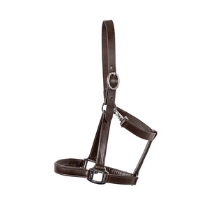 Cabestro de cuero para caballo con corona ajustable y herrajes de latón macizo, para entrenamiento en el establo - Product Image 2