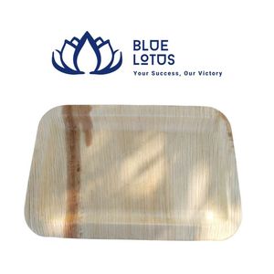 Assiettes jetables biodégradables en feuilles de palmier de haute qualité, 10 pouces, lot de 50, durables pour les fêtes barbecue - Product Image 1
