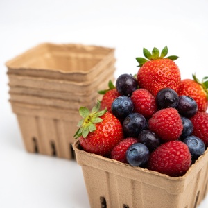 Fruit Packaging Eco-Friendly Anti Break Compostable Molded <b>Pulp</b> Tray Fresh Fruit Tray From Vietnam Manufacturer Paper Boxes - Product Image 2