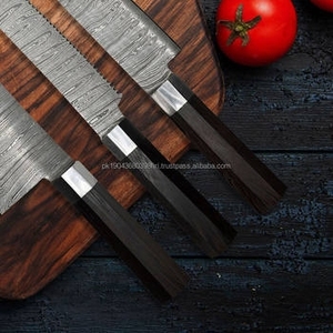 Ensemble de couteaux de chef de style japonais très vendu, couteaux de cuisine professionnels 10 pièces, acier inoxydable écologique, manche en bois de rose - Product Image 4