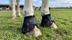 Bottes de cheval en néoprène durables avec absorption des chocs pour le produit de fers à cheval à fermeture velcro - Product Image 2