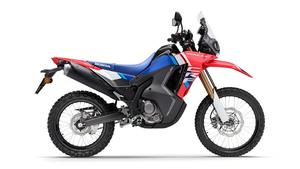 2025 CRF 300 RALLY Adventure Meilleure offre Gamme Haut de Gamme - DISPONIBLE DÉTROUSSANT - Product Image 6