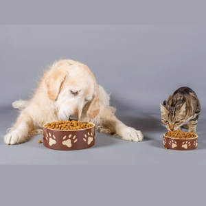Aliments pour animaux de compagnie en gros OEM, usine de production, haute teneur en protéines, 100% naturel, nourriture sèche premium pour chiens avec vitamines, minéraux et bienfaits pour la santé digestive - Product Image 6