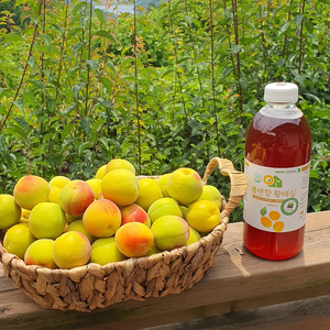 [Dalmda Food] Bouteille d'extrait de prune jaune, boisson en bâtonnet à l'extrait de prune coréenne pour une dégustation quotidienne rafraîchissante de thé aux fruits sucré et acidulé - Product Image 5