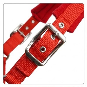Belle sangle EKAY de 20 mm de large avec attache en alliage de zinc nickelé et coussin en éponge LT1006, laisse en corde écologique - Product Image 4