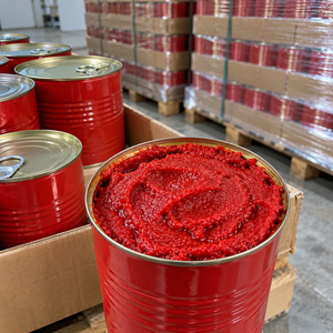 Suministro de procesamiento de tomate con pasta de tomate enlatada en latas a granel de color intenso para importadores de ingredientes alimenticios en todo el mundo - Product Image 3