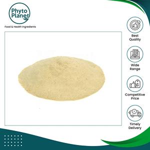 Fournisseur leader en gros vendant de la poudre de ginseng 100% pure et naturelle de haute qualité, fabriquée au Brésil, à un prix compétitif - Product Image 2