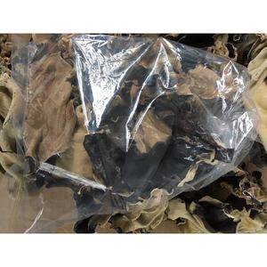 Hongo de oreja de madera seca Natural cultivada vietnamita Comida vegana saludable y cocina Tapa sazonada procesada - Product Image 6