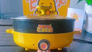 Olla Eléctrica Meet Duck de 5.5L, Acero Inoxidable con Tapa de Vidrio, Control de Temperatura, Uso Doméstico, Forma Redonda - Product Image 1