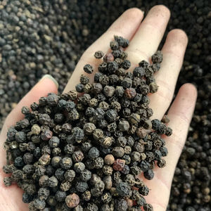 Poivre noir en poudre de qualité supérieure, excellent prix, poivre noir granulé 550GL, poivre concassé, qualité supérieure, assaisonnement pour steak de bœuf - Product Image 1
