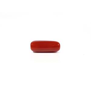 Natural Red Coral Loose Gemstone 5.77 Carat Certified Wholesale Raw Shape - Product Image 2