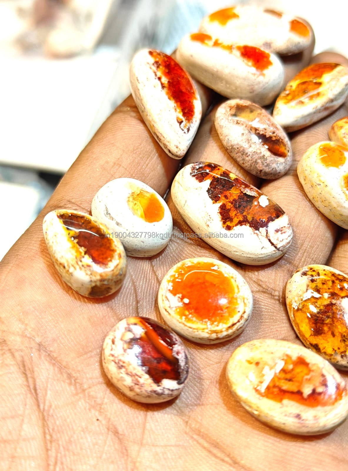 เห็นเป็นภาพ