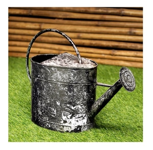 Nouveau concepteur d'arrosoir fait à la main en métal galvanisé arrosoir pour plantes d'intérieur fournisseur en gros vente directe d'usine - Product Image 2