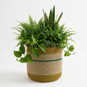 Maceta Tejida a Mano de Hierba Marina con Borde Rayado Beige y Amarillo Mostaza, Decoración para Patio y Jardín, Macetas y Jardineras - Product Image 4