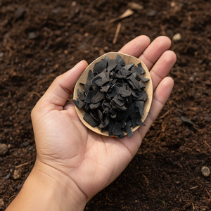 Carbón de Cáscara de Coco con Alto Contenido de Carbono Fijo 80% para Carbón Activado - Product Image 1