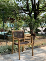 Ensemble de 2 chaises de salle à manger contemporaines en bois massif pour l'extérieur, patio, villa, cuisine, salon, école et hôpital