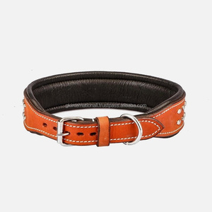 Collier pour chien clouté en cuir véritable avec rembourrage doux et confortable et quincaillerie en laiton tailles personnalisées disponibles - Product Image 2