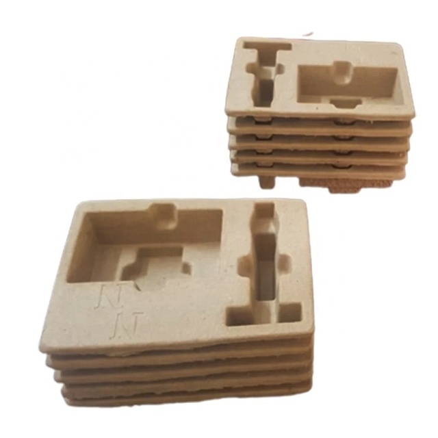 Eco-friendly Biodegradable Razor Insert Sugarcane Molded Pulp Tray Packaging