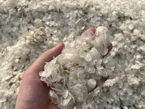 เกล็ดปลาทะเลพรีเมียม อบแห้ง ทำความสะอาดแล้ว สำหรับใช้ในอุตสาหกรรม วัตถุดิบบริสุทธิ์สูง สำหรับการสกัดเจลาตินและคอลลาเจนเปปไทด์ - Product Image 6