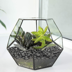 Ciottoli Neri Naturali Lucidati <span class=keywords><strong>per</strong></span> Decorazione <span class=keywords><strong>Piante</strong></span> Succulente, Pietra di Fiume <span class=keywords><strong>per</strong></span> Acquario, Terrario, Pavimentazione, Ghiaia da Giardino - Product Image 4