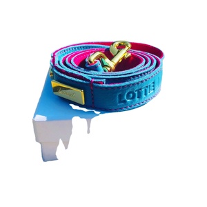 Custom Lenght Leash with Brass Nickel Rose Gold Rainbow Dog Accessories <b>Pet</b> Supplies - Product Image 2