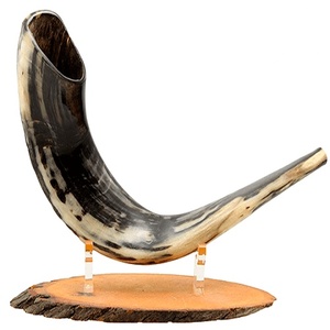 Prix de l'unité le moins cher, corne Shofar, prix de vente entier, corne Ram Shofar polie, casher, son élevé, meilleure offre tout le temps, seulement un artisanat Z - Product Image 5
