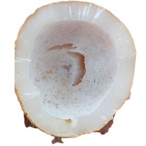 High Quality Fully Matured White Copra Dried Coconut Kernel Edible Export Grade Bulk Supply Indonesia Food Industry 12 Months - Product Image 4