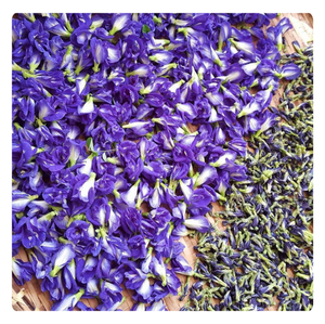 Té de flor de guisante de mariposa seca gourmet-Beneficios para la salud y propiedades potenciadoras de la belleza-Disponible para pedidos a granel - Product Image 5