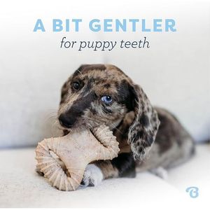 Juguetes Dentales para Perros Benebone Puppy, Paquete de 2 - Product Image 1