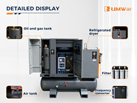 Compresseur d'air à vis tout-en-un avec sécheur d'air pour peinture et revêtement par pulvérisation 22KW 16bar Monotank Refroidi par air PLC