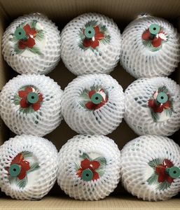 Coco joven fresco premium de Vietnam con piel verde para bebidas refrescantes y jugo natural para pedidos al por mayor en hoteles internacionales - Product Image 4