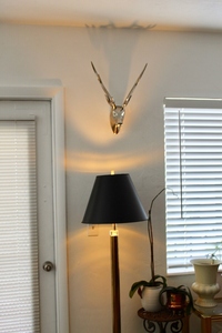 Décoration murale décorative en aluminium, tête de cerf gazelle, figurine, statue, décoration murale animale moderne, art mural métallique, artisanal, pour la maison - Product Image 6